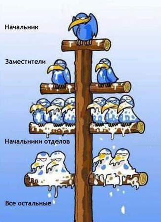 organizatsionnaja-struktura-predpri_1.jpg organizatsionnaja-struktura-predpri_1.jpg